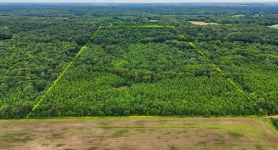 /international/us/2502-hwy-163-highway-wynne-ar-110099965130/