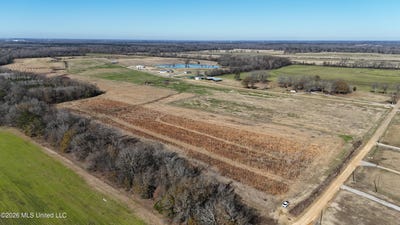 /international/us/endris-road-canton-ms-110120919616/
