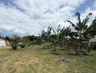 /international/us/bo-limones-yabucoa-pr-110109003629/