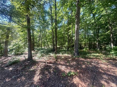 /international/us/teel-mountain-dr-cleveland-ga-110109139669/