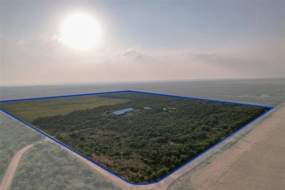 /international/us/14867-county-rd-407-trent-tx-110100779392/