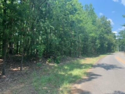 /international/us/15-72-acres-ridgeview-laticana-camden-ar-110087212166/