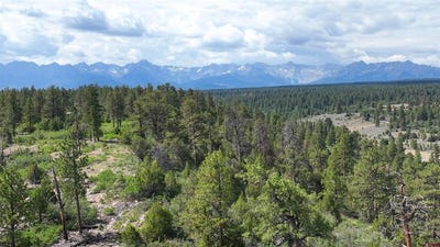 /international/us/695-wireweed-lane-montrose-co-110101031404/