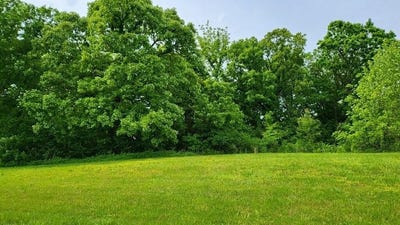 /international/us/lot-19-tbd-se-holstein-drive-oak-grove-mo-110100594846/