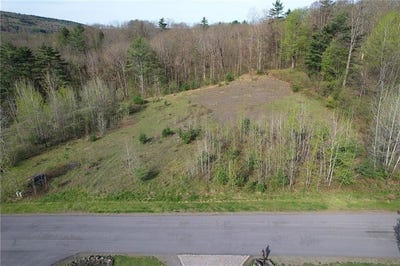 /international/us/119-hickory-hill-road-otego-ny-110106851554/