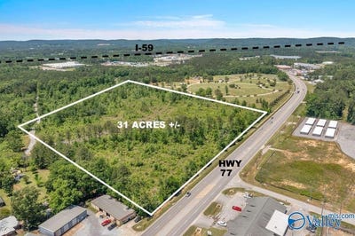 /international/us/31-acres-highway-77-rainbow-city-al-110107982314/