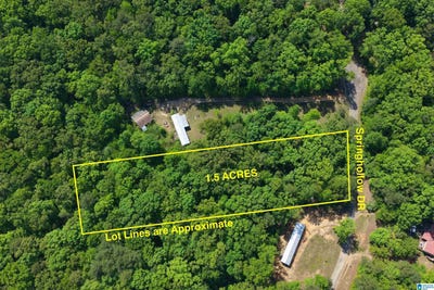 /international/us/springhollow-road-lot-11-ashville-al-110073250735/