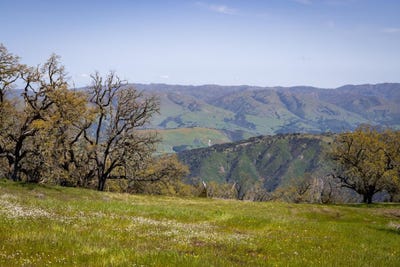 /international/us/26-long-ridge-trl-carmel-ca-110082799751/