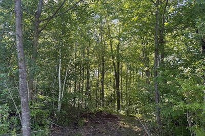 /international/us/3-county-road-t-danbury-wi-110109042300/