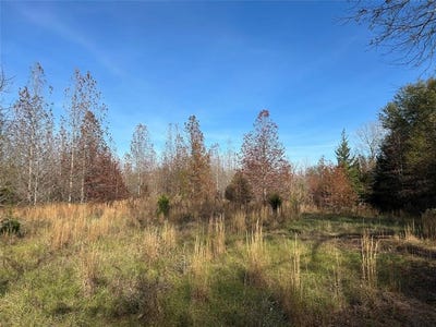 /international/us/tract-a-county-road-1412-bogata-tx-110099825525/