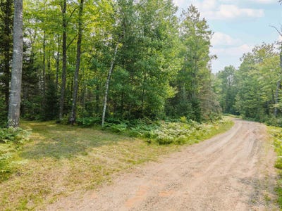 /international/us/little-maggie-lane-lot-45-46-crystal-falls-mi-110101366031/