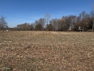 /international/us/vl-ne-hess-mill-road-bolivar-oh-110097965584/