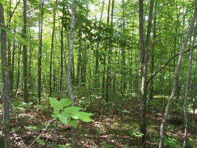 /international/us/on-red-rock-rd-athelstane-wi-110093335540/?lang=zh-tw