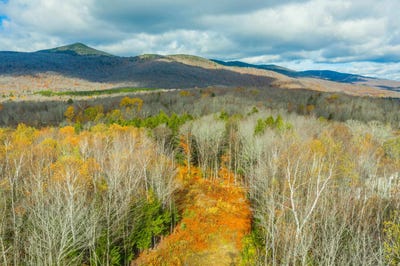 /international/us/mountain-ridge-drive-lot-4-wilmington-vt-110103158236/