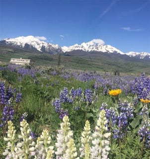 /international/us/1703-elk-run-road-silverthorne-co-110101029376/