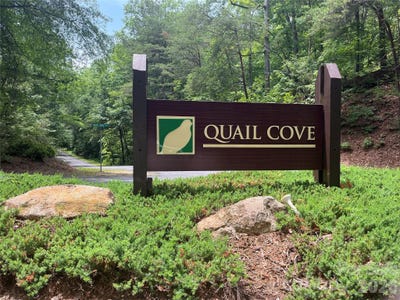 /international/us/155-quail-cove-boulevard-lake-lure-nc-110108389070/