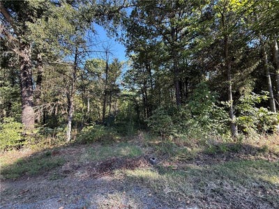 /international/us/deerwood-lane-dardanelle-ar-110120451873/