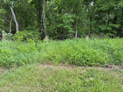 /international/us/n-virginia-st-farmville-va-110107999869/