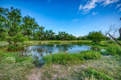 /international/us/364-cr-2019-road-out-of-area-tx-110108780414/