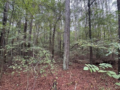 /international/us/740-poplar-springs-road-dalton-ga-110119993523/