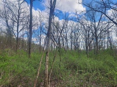 /international/us/elizabeth-street-lot-1-muscoda-wi-110093752497/
