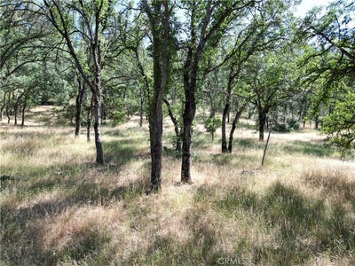 /international/us/16625-rancho-tehama-road-corning-ca-110100090493/?lang=zh-tw