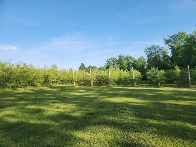 /international/us/16318-e-county-road-v-road-hillsboro-wi-110108427576/