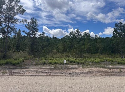 /international/us/walker-road-lot-4-ridgeville-sc-110110016115/