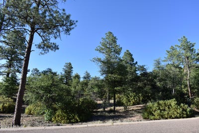 /international/us/lot-19-e-pine-ridge-drive-star-valley-az-110093975844/?lang=en