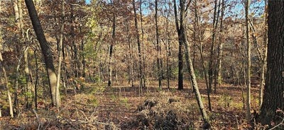 /international/us/tbd-wooten-rd-rd-west-fork-ar-110095728815/