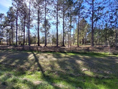 /international/us/s-hwy-125-rd-tifton-ga-110105051827/