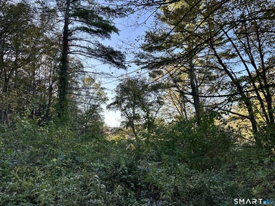 /international/us/5-prospect-mountain-road-salisbury-ct-110120669495/