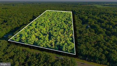 /international/us/harding-highway-pittsgrove-nj-110109135853/