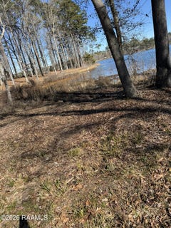 /international/us/ramsey-road-lot-3-chatham-la-110105869762/
