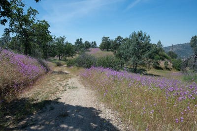 /international/us/0-pennyroyal-prather-ca-110092073333/