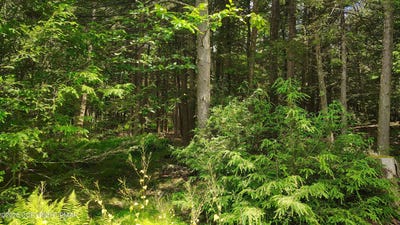 /international/us/somerset-dr-14-tobyhanna-pa-110109103086/?lang=th