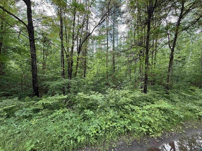/international/us/0000-pokegama-dr-minocqua-wi-110100255574/?lang=zh-tw
