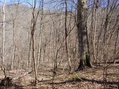 /international/us/0-birch-hollow-road-stanton-ky-110100865391/