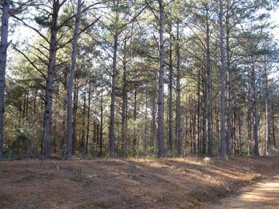 /international/us/parkview-estates-lot-1-ellisville-ms-110103548086/