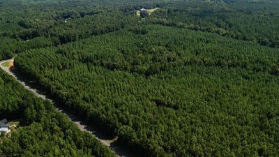 /international/us/fortune-hole-road-hamilton-ga-110108639306/