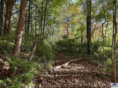 /international/us/w-bland-drive-west-terre-haute-in-110120771277/