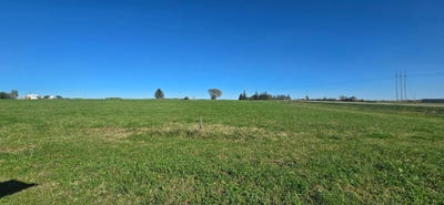 /international/us/tbd-lot-6-blk-2-3rd-avenue-se-harmony-mn-110102793075/