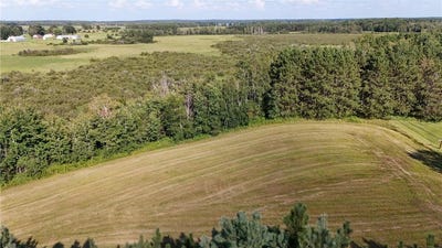 /international/us/county-road-113-brainerd-mn-110098195327/