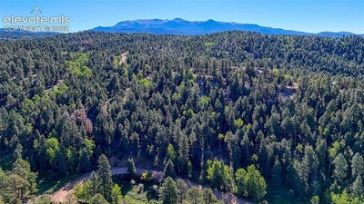 /international/us/776-spring-valley-lane-florissant-co-110110171314/