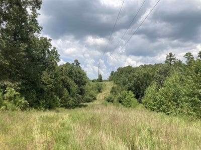 /international/us/polk-road-31-cove-ar-110102659801/
