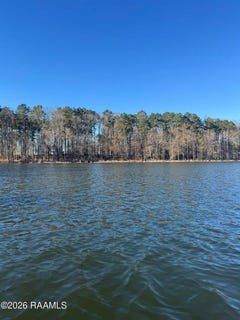 /international/us/lot-10-ramsey-rd-chatham-la-110105954095/