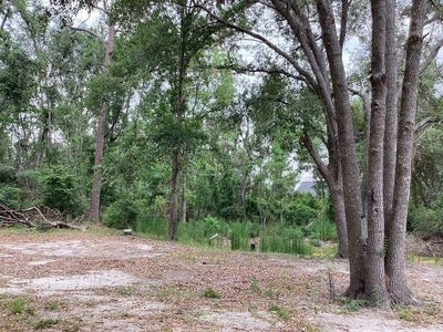 /international/us/317-se-centerwood-lane-lee-fl-110099897647/?lang=zh-cn