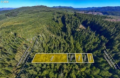 /international/us/grand-ave-florence-or-110120636536/