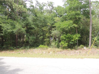 /international/us/15955-ne-13th-street-williston-fl-110091615416/?lang=zh-cn
