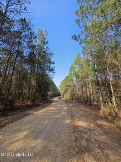 /international/us/wildwood-trail-meadville-ms-110105292879/